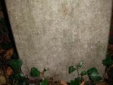 image of grave number 177683